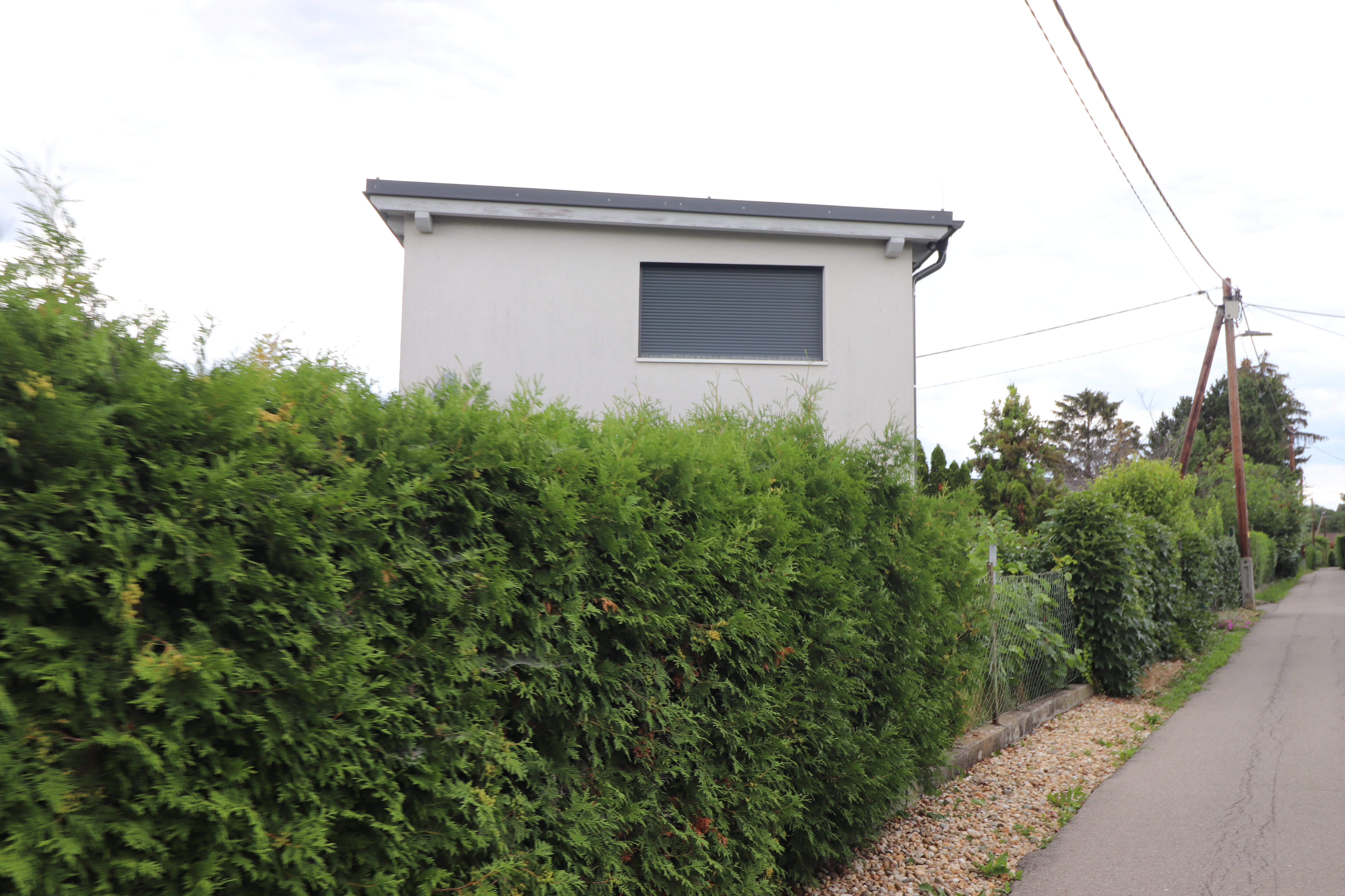 Abbildung_Bernhard_12