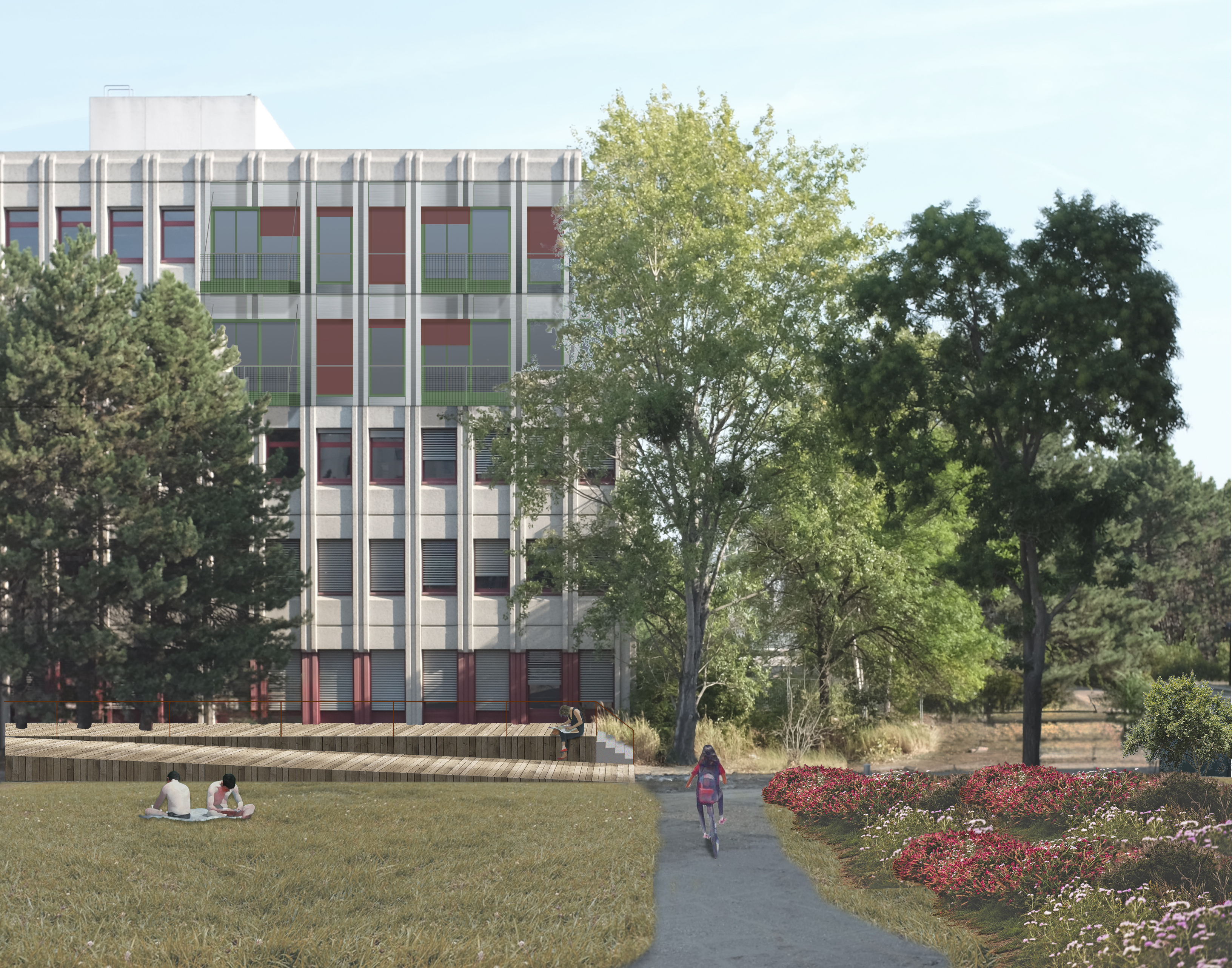 Abbildung_Schaffer_02